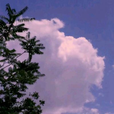 猛龙过江手游(暂未上线)v1.9 安卓版