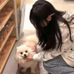 布拉游戏下载